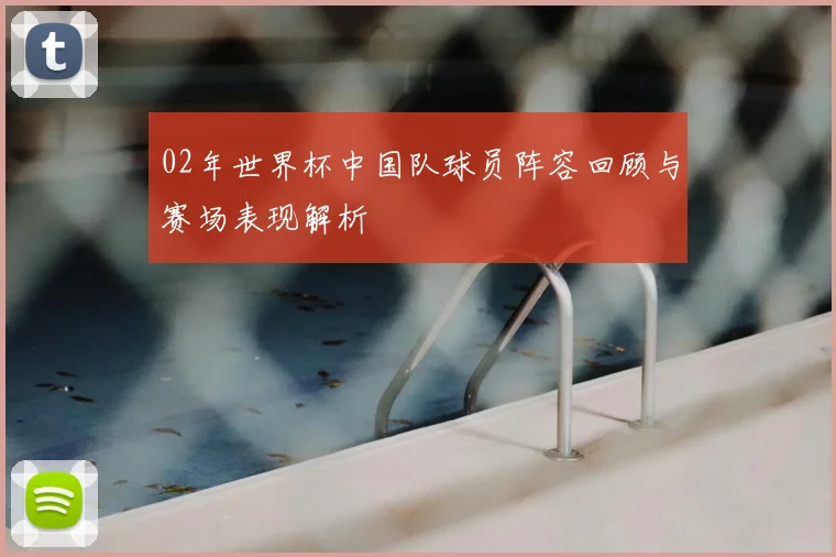 02年世界杯中国队球员阵容回顾与赛场表现解析