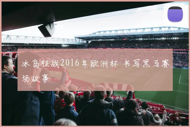 冰岛征战2016年欧洲杯 书写黑马赛场故事