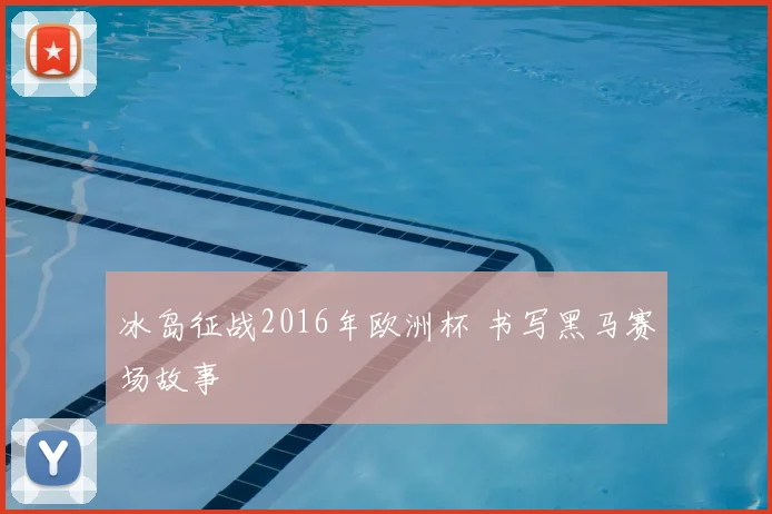 冰岛征战2016年欧洲杯 书写黑马赛场故事