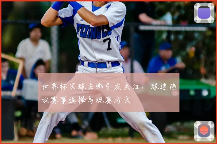 世界杯买球去哪引发关注，球迷热议赛事选择与观赛方式
