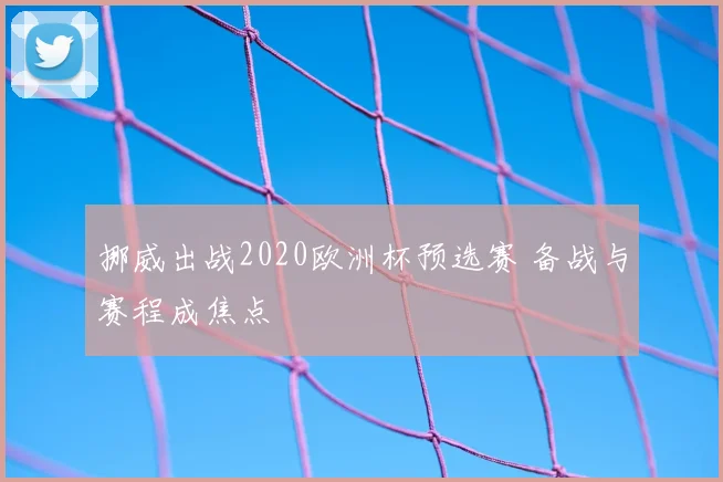 挪威出战2020欧洲杯预选赛 备战与赛程成焦点