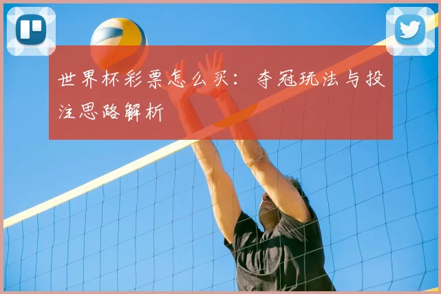 世界杯彩票怎么买：夺冠玩法与投注思路解析
