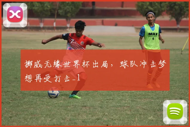 挪威无缘世界杯出局，球队冲击梦想再受打击_1