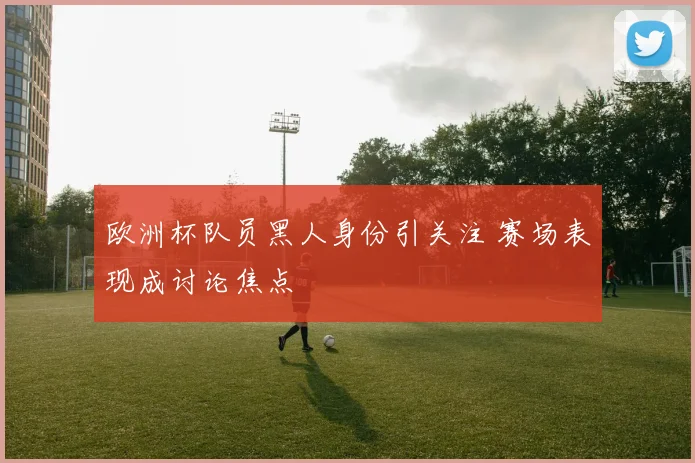 欧洲杯队员黑人身份引关注 赛场表现成讨论焦点