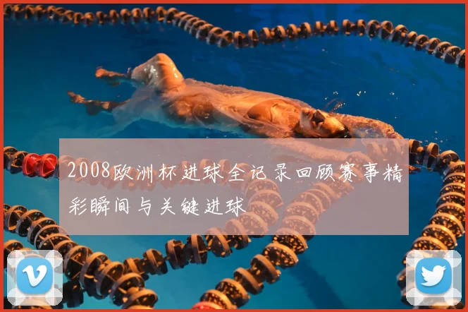 2008欧洲杯进球全记录回顾赛事精彩瞬间与关键进球