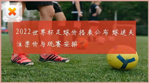 2022世界杯足球价格表公布 球迷关注票价与观赛安排