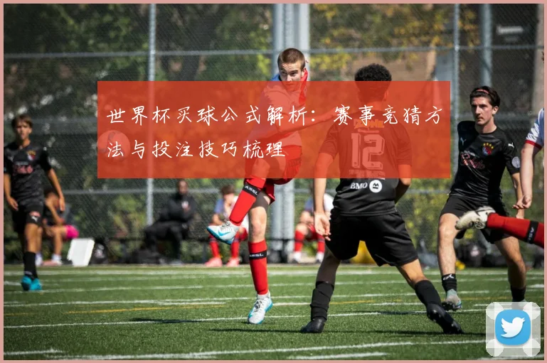 世界杯买球公式解析：赛事竞猜方法与投注技巧梳理