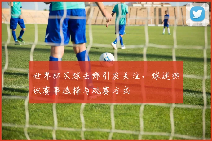世界杯买球去哪引发关注，球迷热议赛事选择与观赛方式
