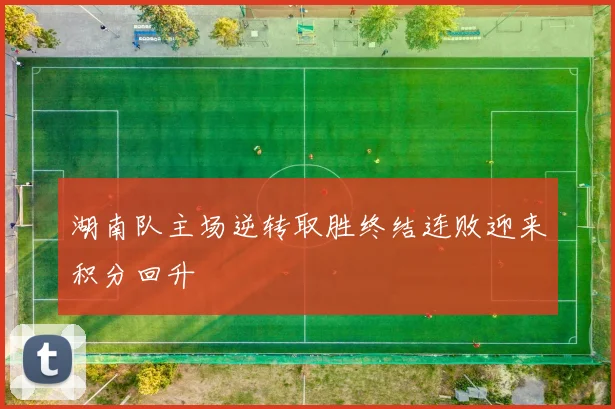 湖南队主场逆转取胜终结连败迎来积分回升